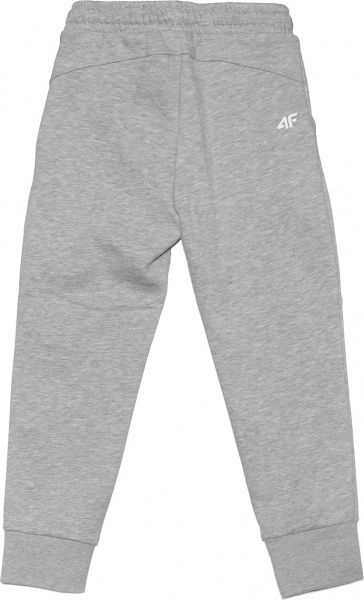 Штани 4F HJZ20-JSPDD001-25M р. 128 сірий меланж