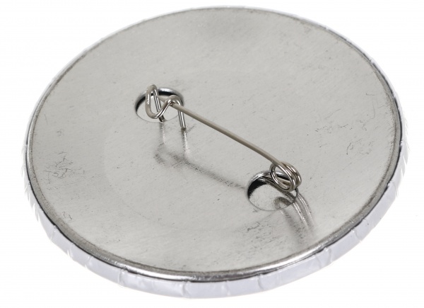 Значок на булавке полиграфический Дракосики в ассортименте 