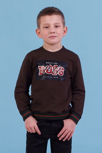 Джемпер Zironka р.122 коричневый Z1-76-0001-1 