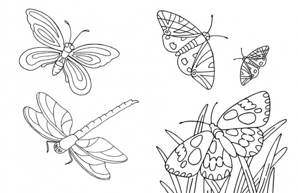 Книга «Тварини» 9-789-667-511-234