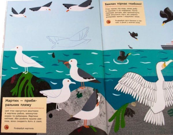 Книга «Моя книга природы: На берегу моря» 978-617-09-4102-2