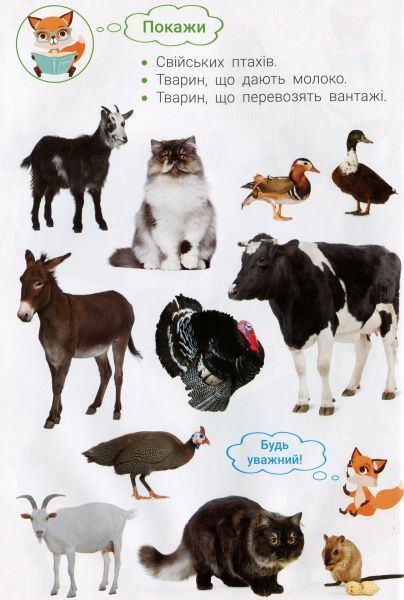 Книга «Фотокнига. Царство тварин. Серія шукайчик. Тв.обкладинка»