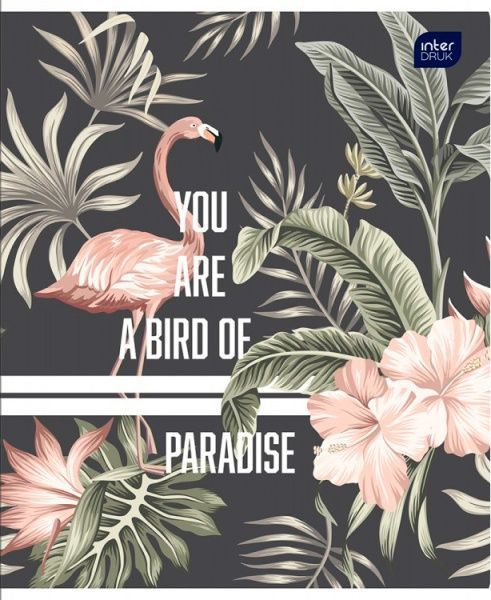 Тетрадь школьная 60 листов в клетку Dark jungle в ассортименте InterDRUK