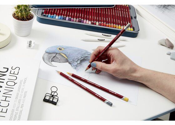 Набор карандашей Pastel 48 цвета Derwent