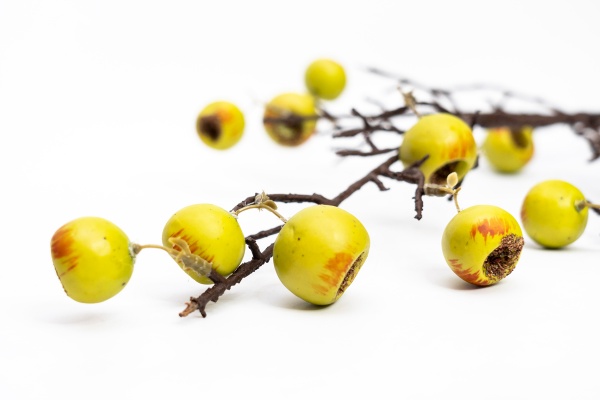 Веточка декоративная с желто-красными ягодами 68 см Девилон