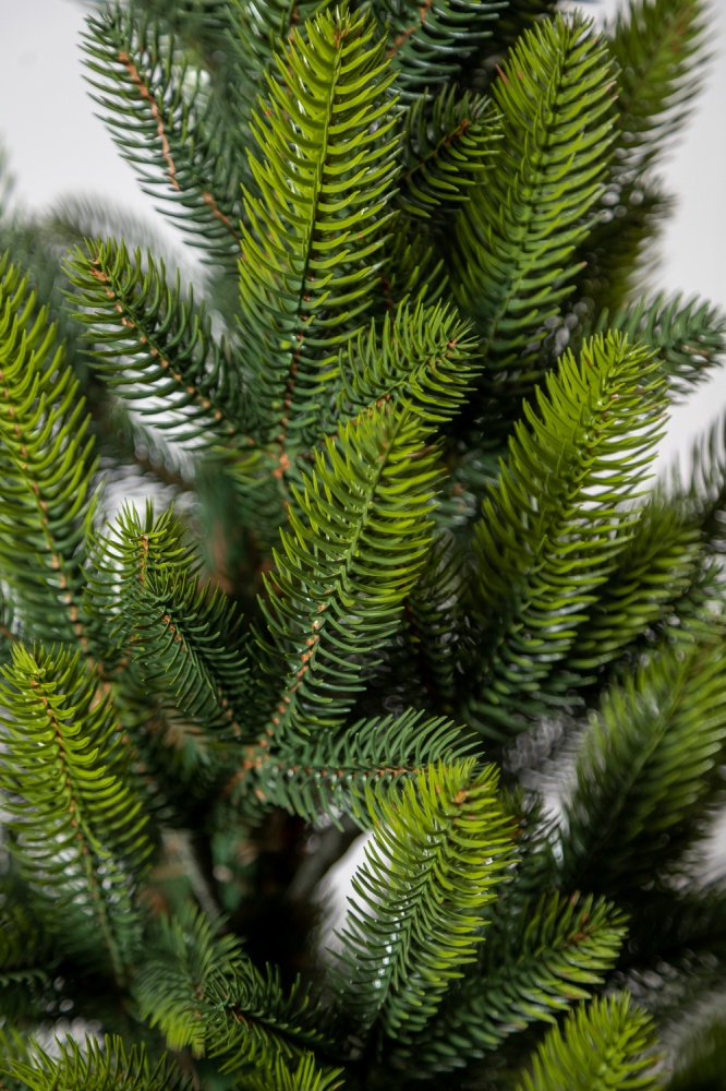 Штучна ялинка Лапландська 0,9 м Весняна в горщику зеленийSiga Group