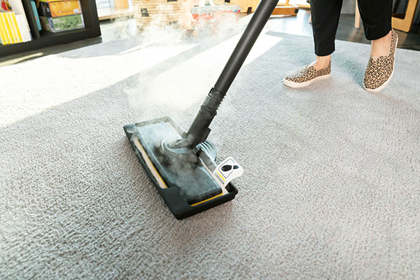 Пароочисник Karcher SC 4 EasyFix Plus (9.610-214.0)