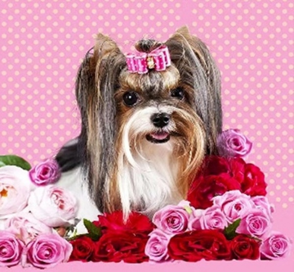 Набор для творчества Красавица 30x30 см 188702 Діамантові ручки 