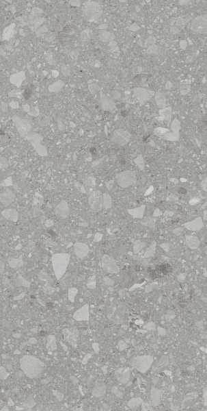 Плитка Allore Group Terra Grey F P R Mat (51,84) 60x120x8 