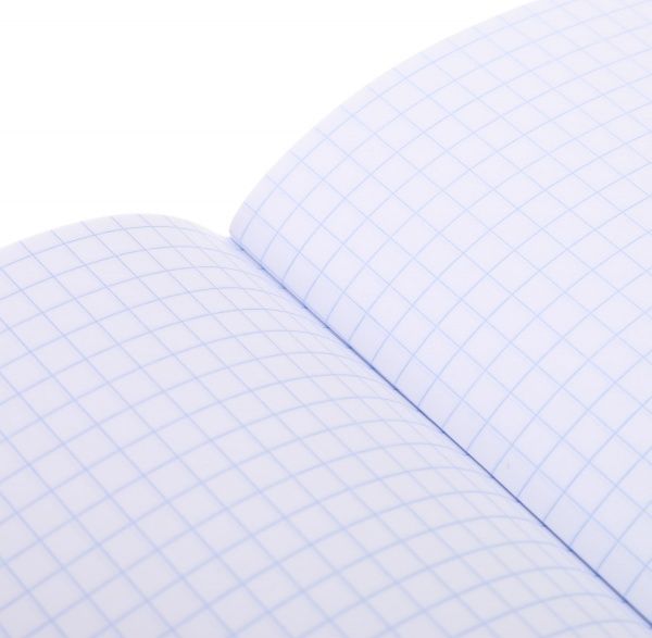 Тетрадь школьная Princess 96 листов в клетку Мечты сбываются