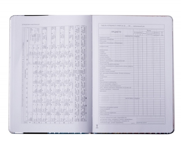 Щоденник шкільний Eyes В5 48 арк. ZB.13217-26 ZiBi