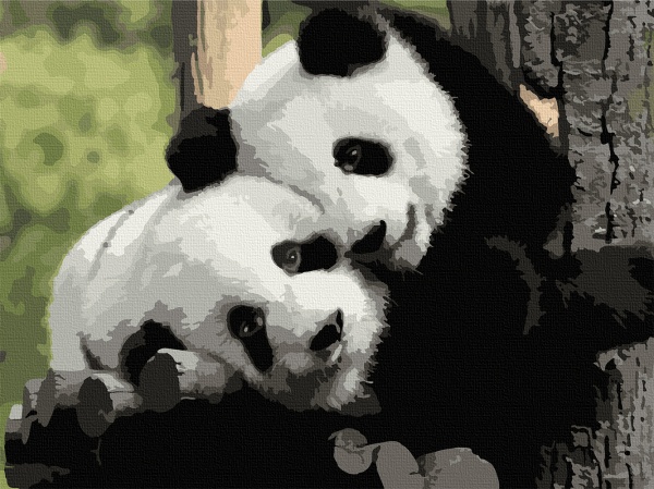 Картина за номерами Панди Інь-Янь 11606-AC 40х50 см ArtCraft 
