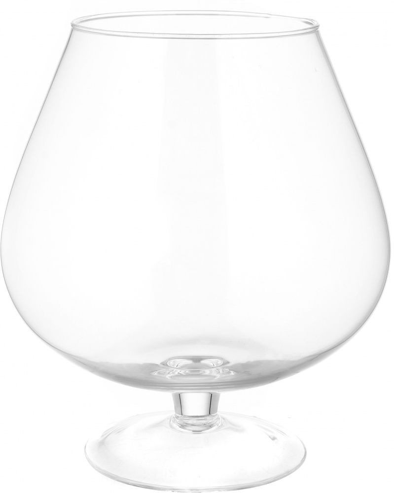 Ваза стеклянная Wrzesniak Glassworks коньячная 19-102B 24 см прозрачный