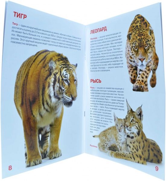 Книга Олег Завязкин «Большая книга. Дикие животные» 978-617-08-0260-6