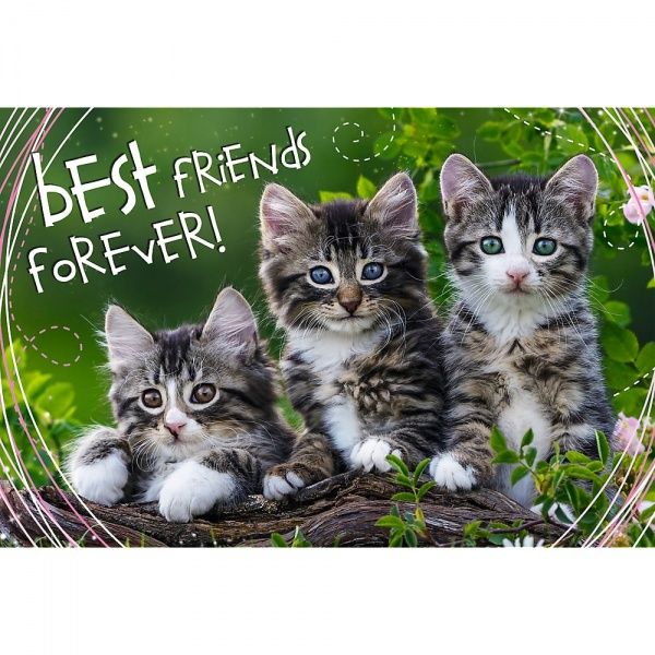 Пазли Trefl Котяча дружба 260 елементів 6332612