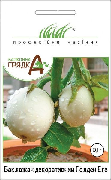 Семена Професійне насіння баклажан Голден Егс декоративный 0,1г