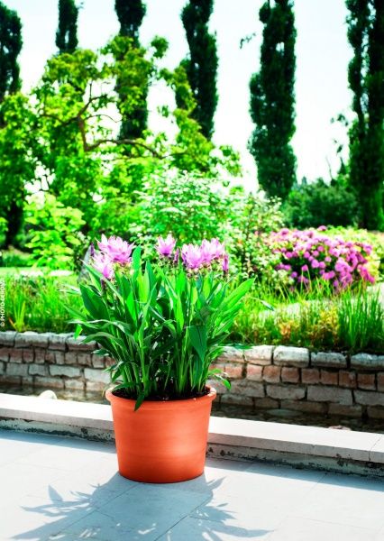 Горщик керамічний DEROMA циліндр 20х17х3,6 котто круглий 