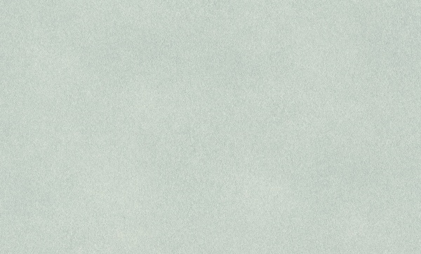 Шпалери вінілові на флізеліновій основі RASCH Fiesta 973037 1,06x10,05 м 