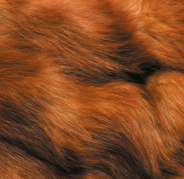 Книга Булгакова Г. «Книга з трафаретами. Транспорт» 978-9-6674-8577-1