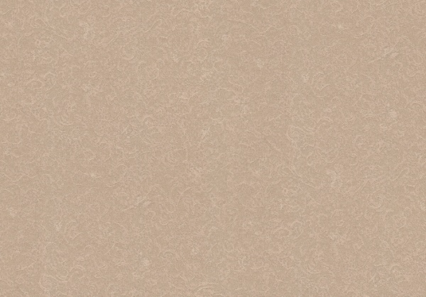 Шпалери вінілові на флізеліновій основі Vinil Домінік ЭШТ4-0997 1,06x10,05 м 