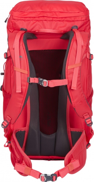 Рюкзак McKinley LASCAR VT 25W 410544-902404 25 л розовый