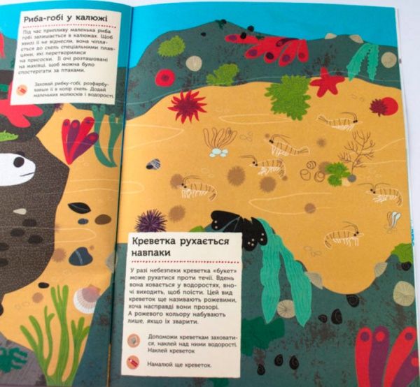 Книга «Моя книга природы: На берегу моря» 978-617-09-4102-2