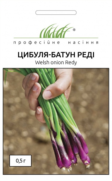 Семена Професійне насіння лук-батун Реди 0,5г (4820176696113)