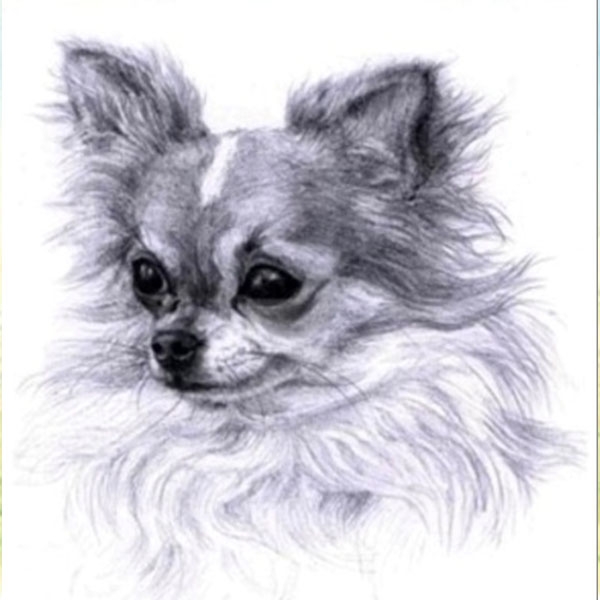 Набор для творчества со стразами на подрамнике Я-Чарли 30x30 см 189219 Діамантові ручки 