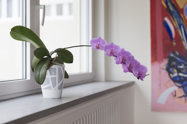 Вазон пластиковый Idel Curve High 13 см круглый 1,9 л коричневый/белый (730621) 