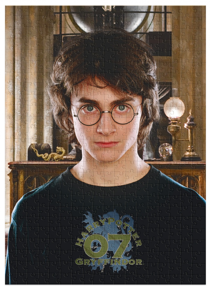 Пазл DoDo Hard-M Harry Potter. Портрет Гарри 450 элементов 200576