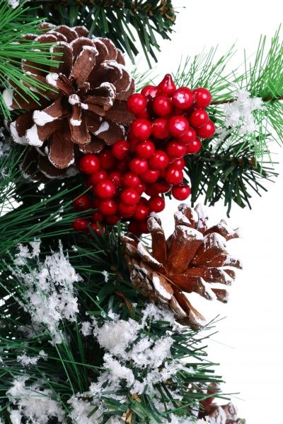Венок новогодний с хвоей, ягодами и шишками d530 мм EPI-HS-35684 