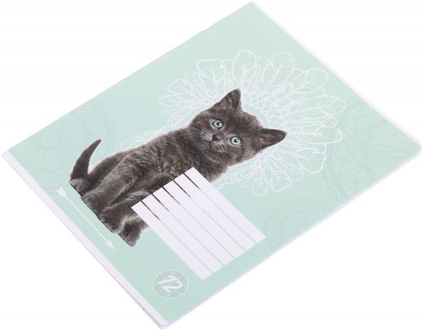 Тетрадь школьная Cat 12 листов клетка 2 Мечты сбываются