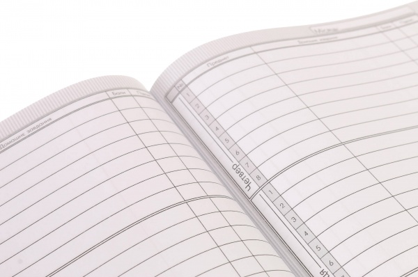 Дневник школьный Anime 2 Nota Bene