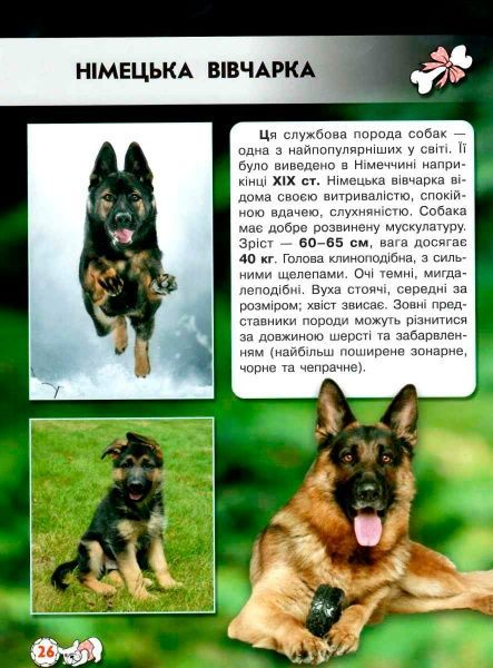 Книга Тамара Протасовицкая «Світ навколо нас. Собаки» 978-966-936-748-8