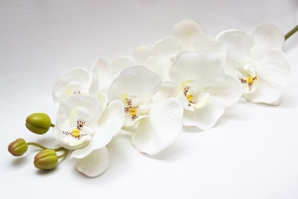 Квітка штучна Орхідея 72 см біла 630331