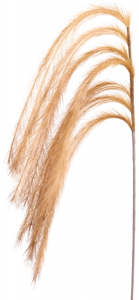 Рослина декоративна гілка з пір'ям коричнева 130 см