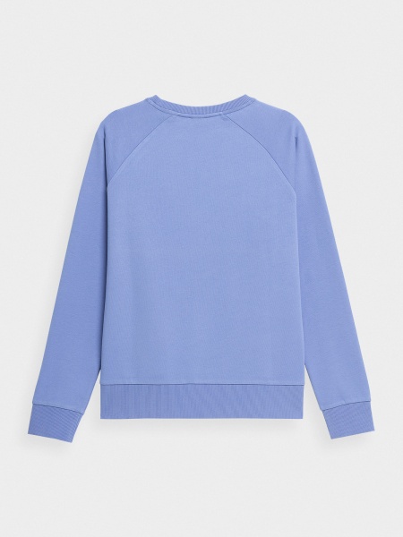 Свитшот 4F SWEATSHIRT F370 4FSS23TSWSF370-32S р.2XL синий