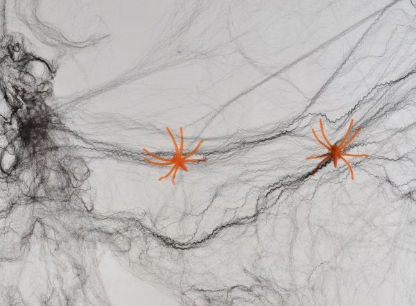 Набор декоративный Fun Паутина черная с двумя пауками 20 г 973366 YES