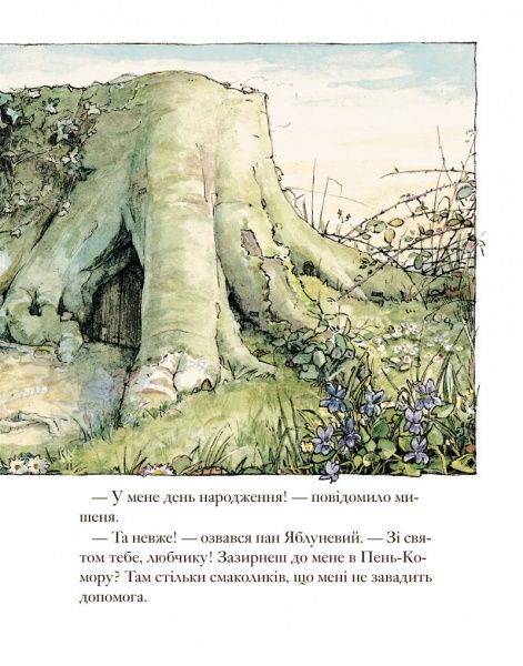 Книга Джилл Барклем «Ожиновий живопліт. Весняна історія» 978-617-7329-69-4