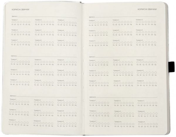 Еженедельник 2020 Partner Flex 8506-20-34-a срібний Axent 42804 