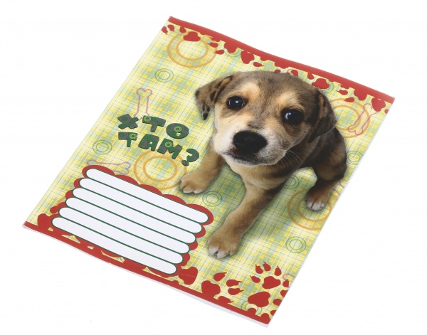 Зошит шкільний 12 аркушів у лінійку дизайн в асортименті Мрії збуваються