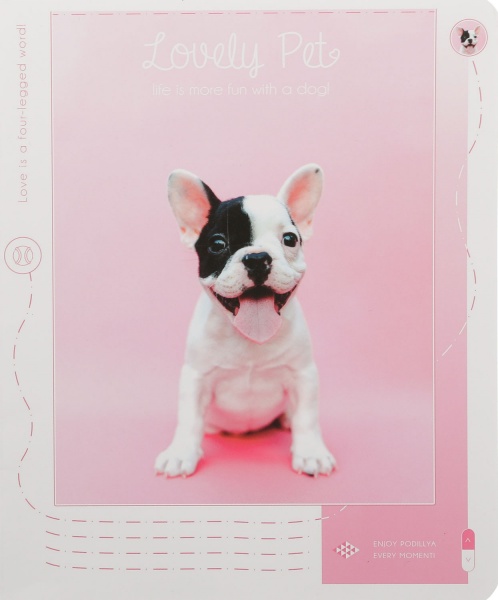 Тетрадь школьная Tadward 12 листов клетка