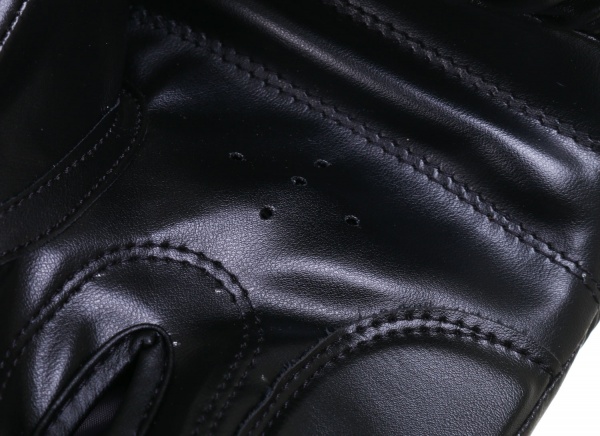 Боксерські рукавиці MaxxPro AVG-616 р. 10 чорний