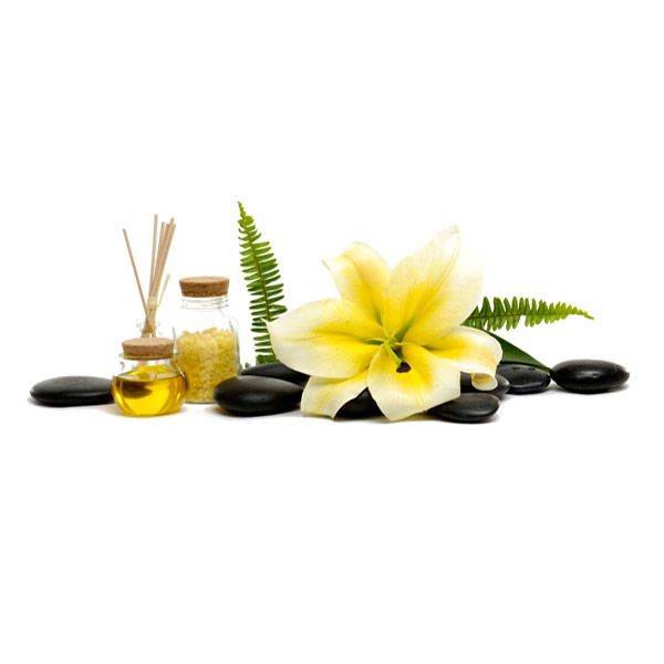 Декор Allore Group Сноувайт СПА Лілія 200x500 мм