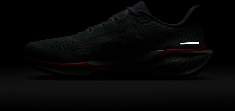 Кросівки Nike PEGASUS 41 FD2722-115 р.45