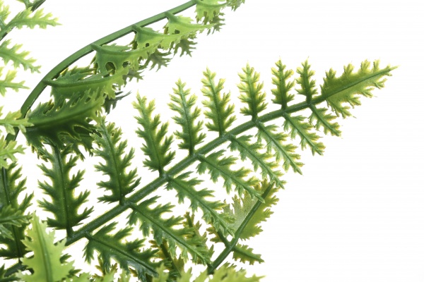 Рослина штучна Нефролепіс 1930