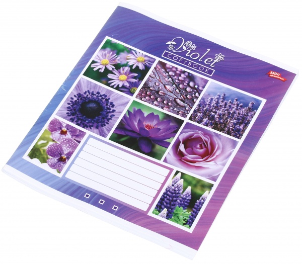 Тетрадь школьная 60 листов в линейку в ассортименте Мечты сбываются