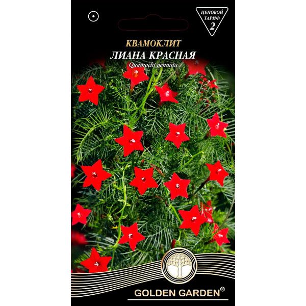 Насіння Golden Garden квамокліт Ліана червона 0,5 г