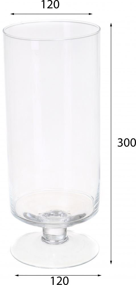 Ваза на ніжці Циліндр d12 30 см прозора 20110.2