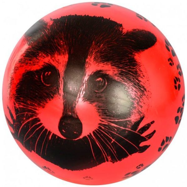 Мяч Енот (6 видов) в ассортименте 23 см MS 1899